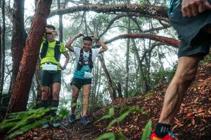 BIB: 
                            <button type="button" onclick="openModal(26344031)" class="btn btn-primary btn-sm float-right btn-popup" data-toggle="modal" data-target=".modal-high-quality">
                        <i class="fas fa-shopping-cart"></i> Add to Cart
                    </button>
                                            <button type="button" onclick="isThisMe(26344031, true)" class="btn btn-success btn-sm float-right btn-popup btn-isme hidden" data-toggle="tooltip" data-placement="bottom" title="นี่คือรูปของคุณใช่ไหม คลิกที่นี่เพื่อเอาเข้าอัลบั้ม">
                        <i class="fas fa-plus"></i> Add to album
                    </button>
                    <button type="button" onclick="isThisMe(26344031, false)" class="btn btn-warning btn-sm float-right btn-popup btn-isnotme hidden">
                        <i class="fas fa-ban"></i> Remove from album
                    </button>